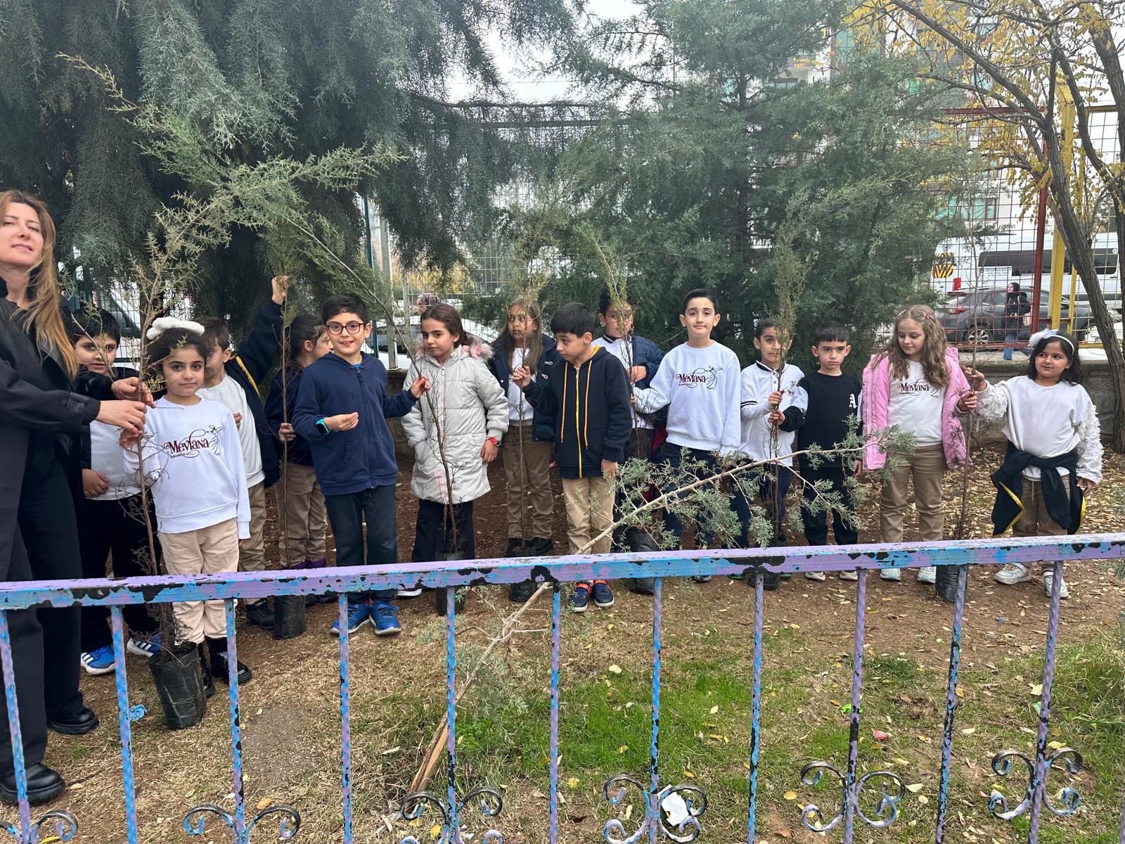 Yeşil Alan Uygulamaları