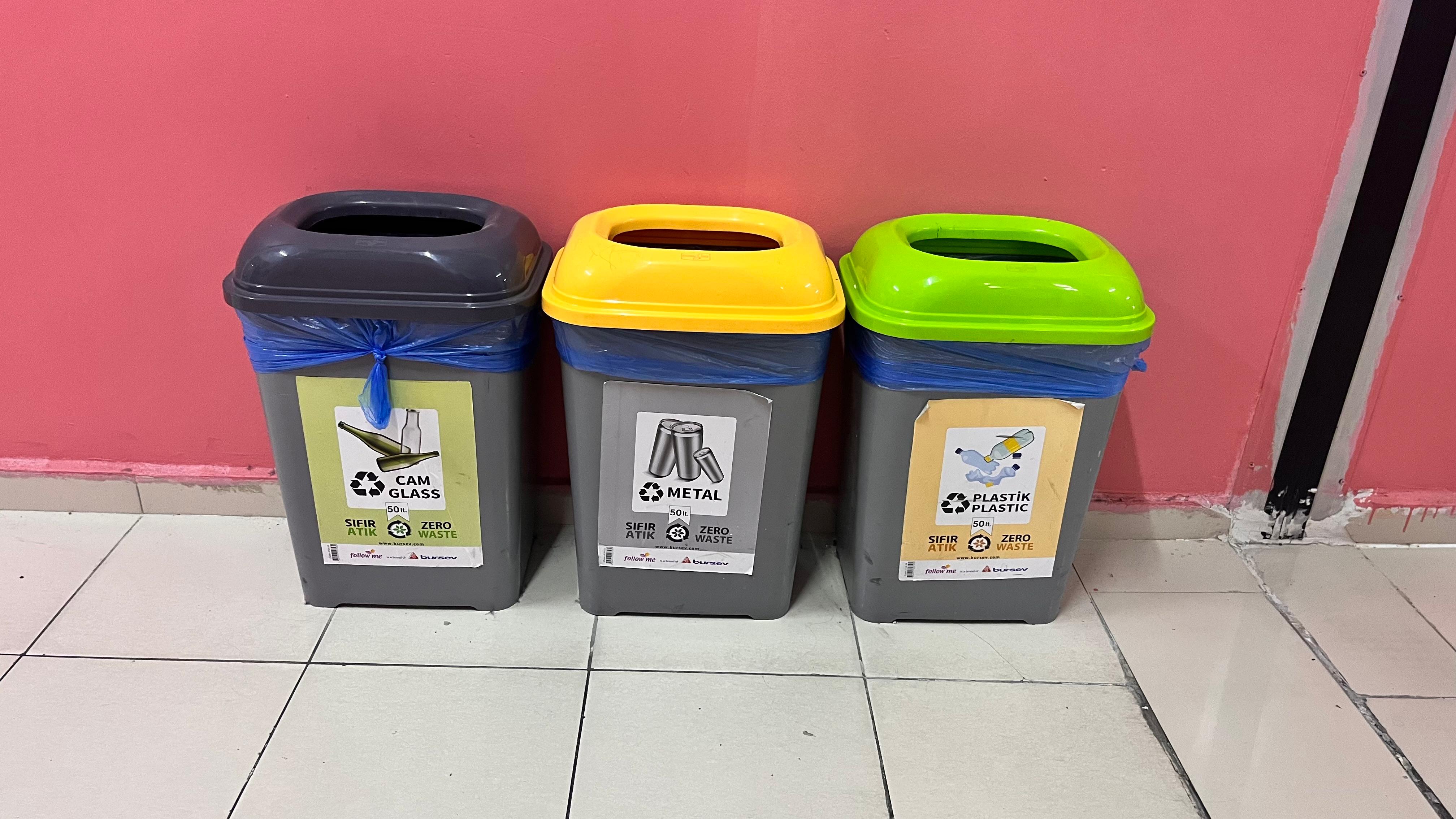Proje