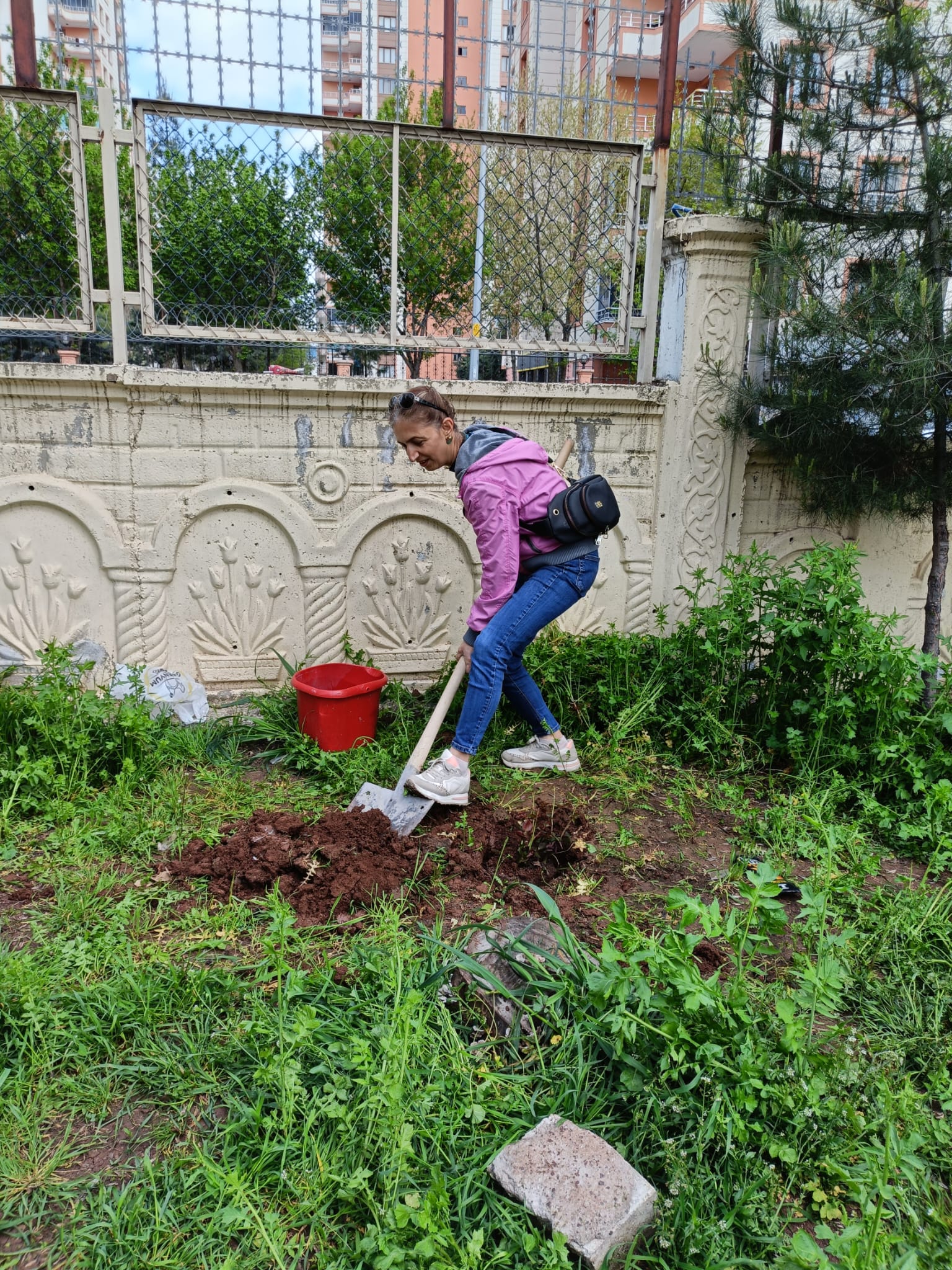Proje