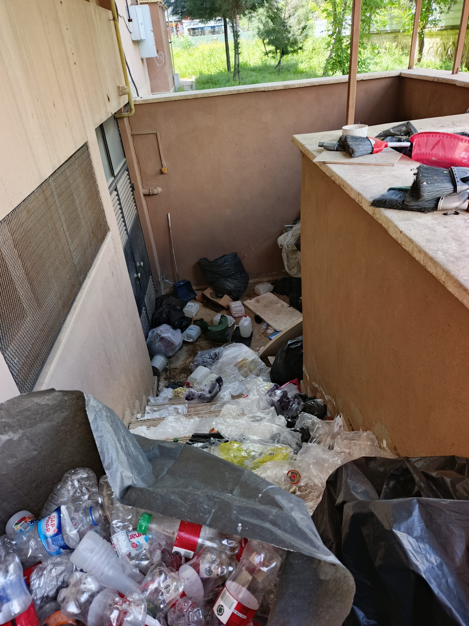Proje