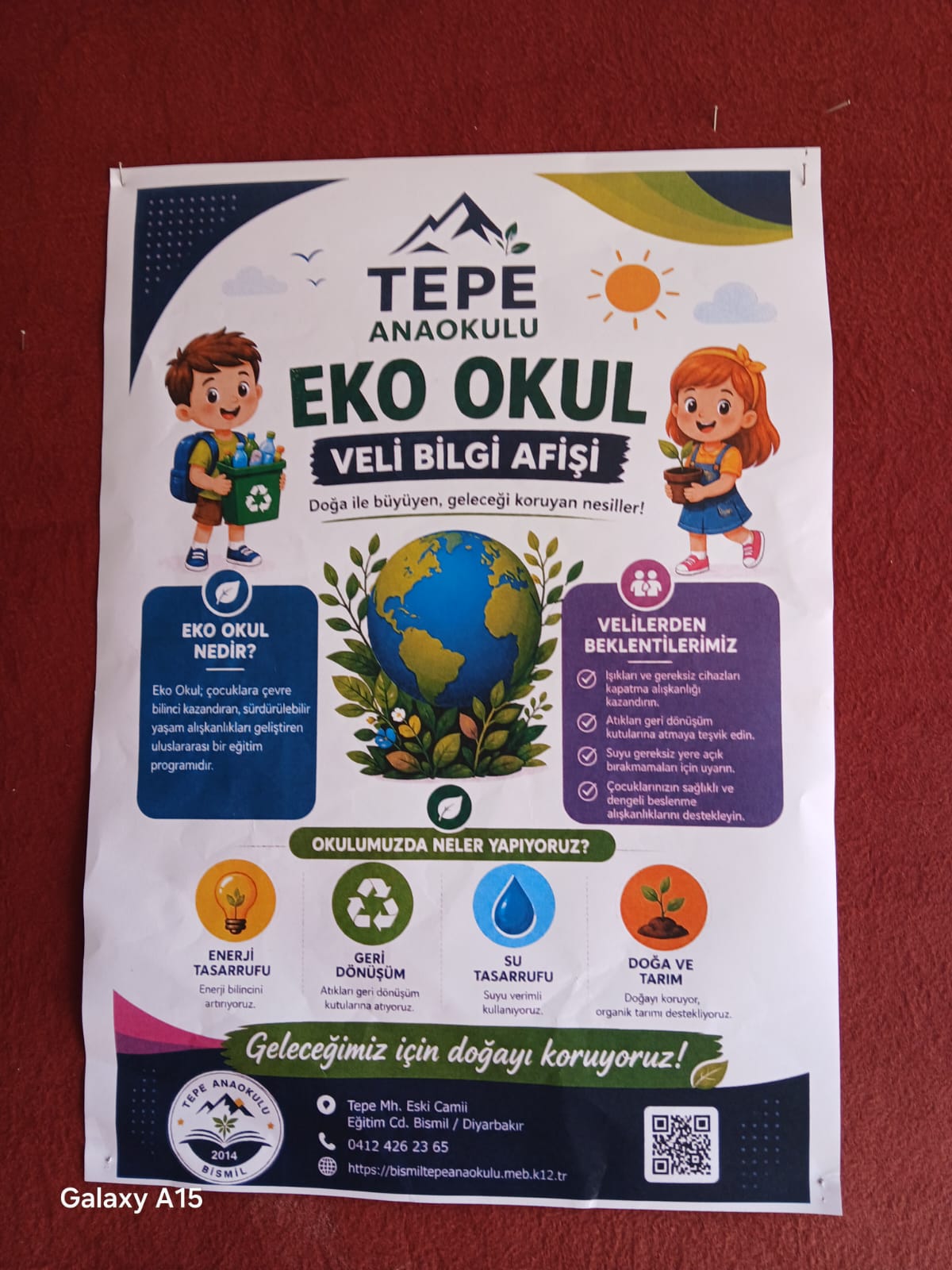 Proje