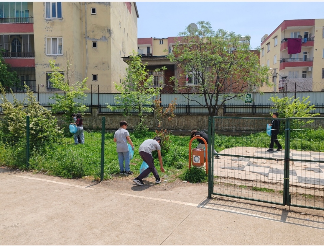 Proje