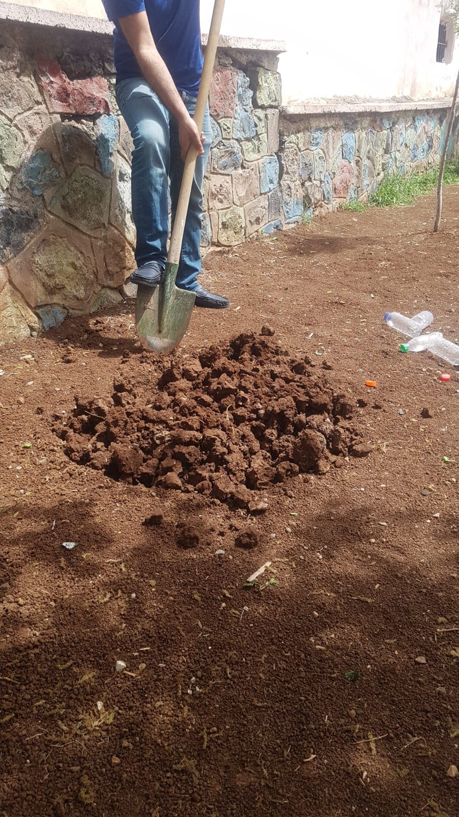 Proje