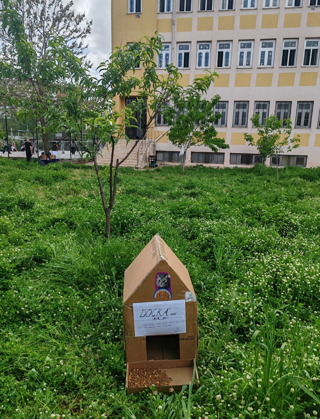 Proje