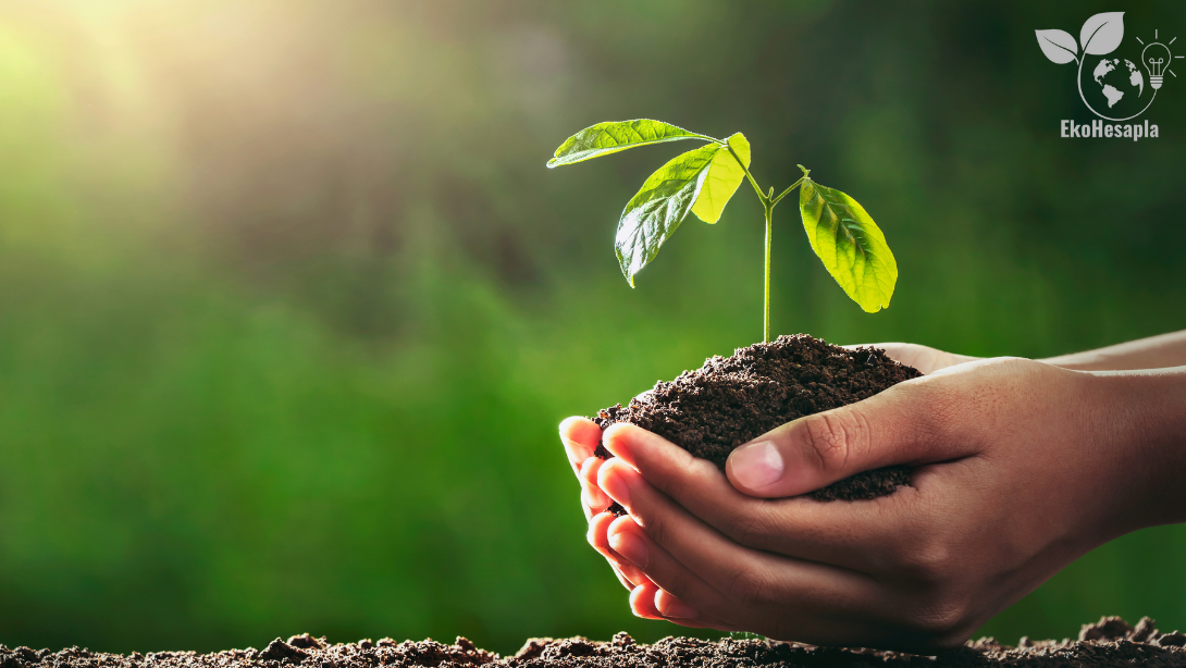 Eko-Hikayeler Başladı!